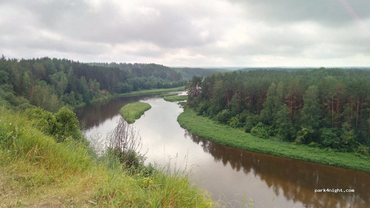 (18156) Punžionys - — foto