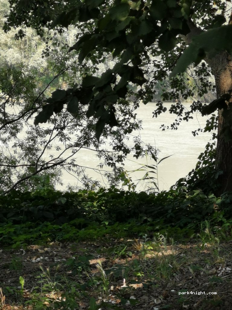 (37045) Legnago - 2 Via XXIV Maggio — foto 3