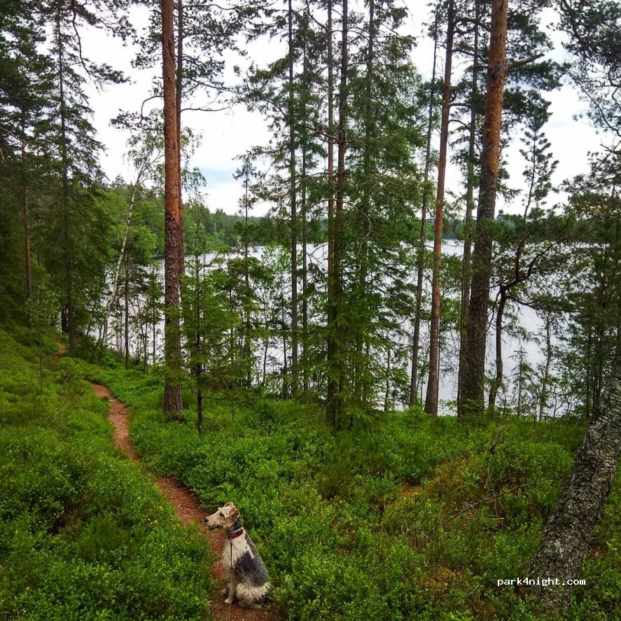(464 72) Håverud - Unnamed Road — foto 2