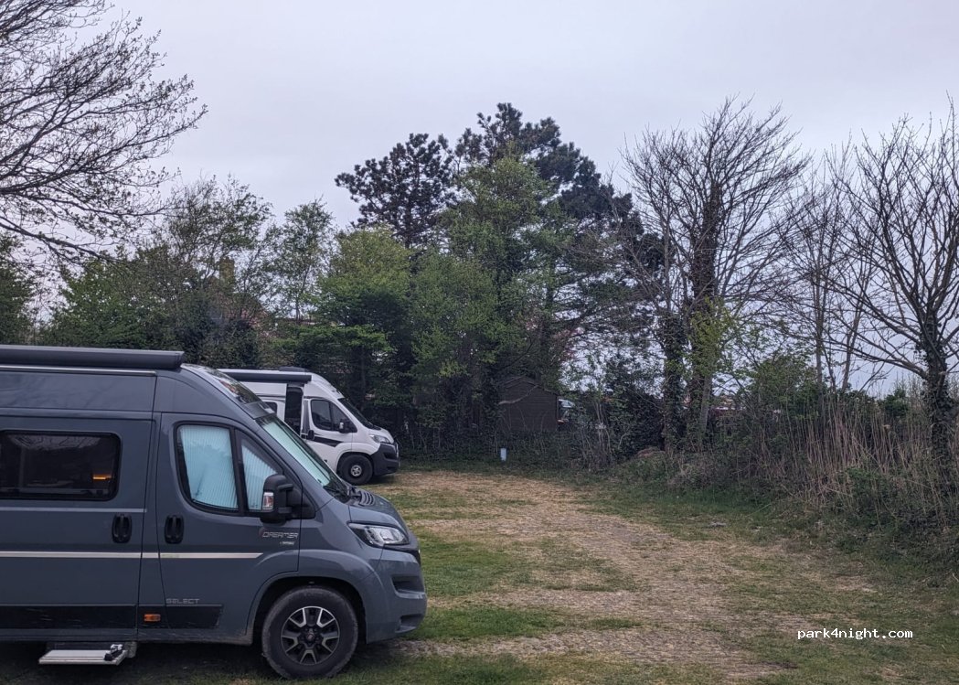 Duincamping De Lepelaar — foto 3