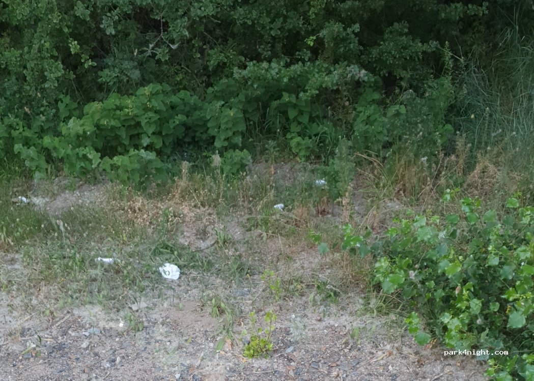 (49130) Sainte-Gemmes-sur-Loire - 57 Port Thibault — foto 4