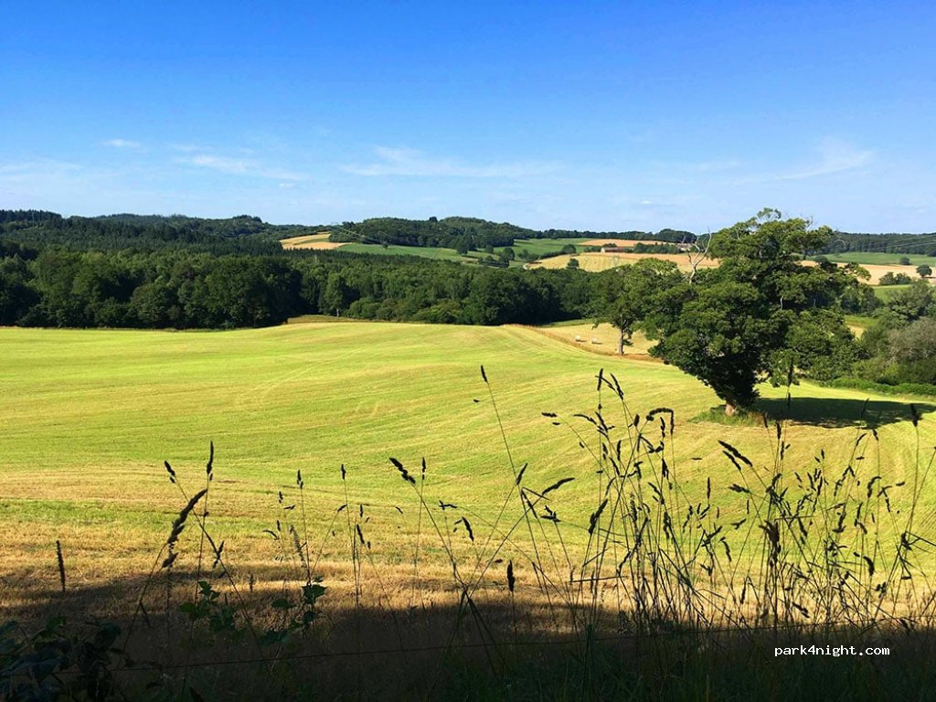 Domaine Les Filloux — foto 2