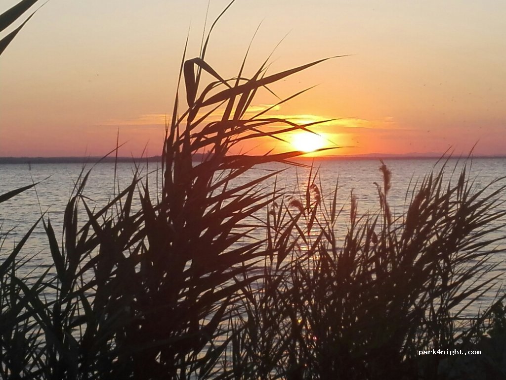 Trasimeno Glamping Resort — foto