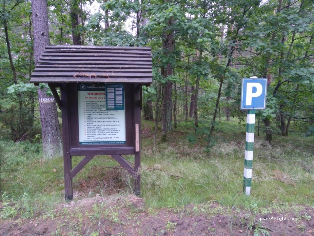 (89-650) Wrzosowa - Wrzosowa — foto 2