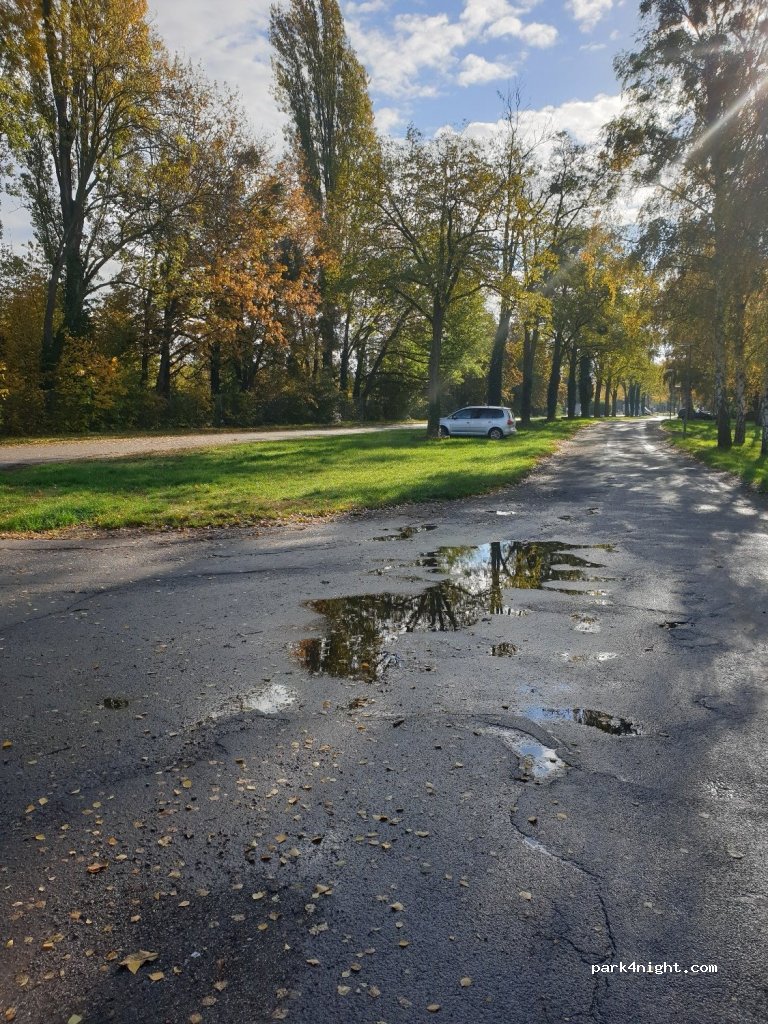 (68199) Mannheim - Promenadenweg — foto 2