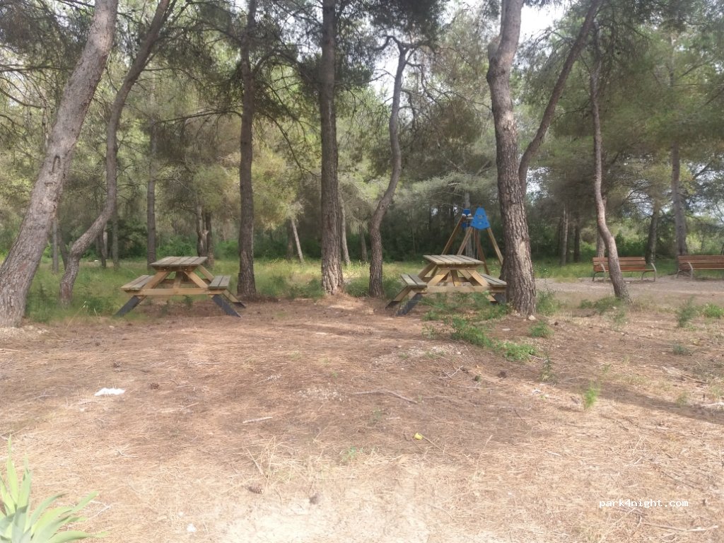 (43144) Vallmoll - 24 Camí dels Morts — foto