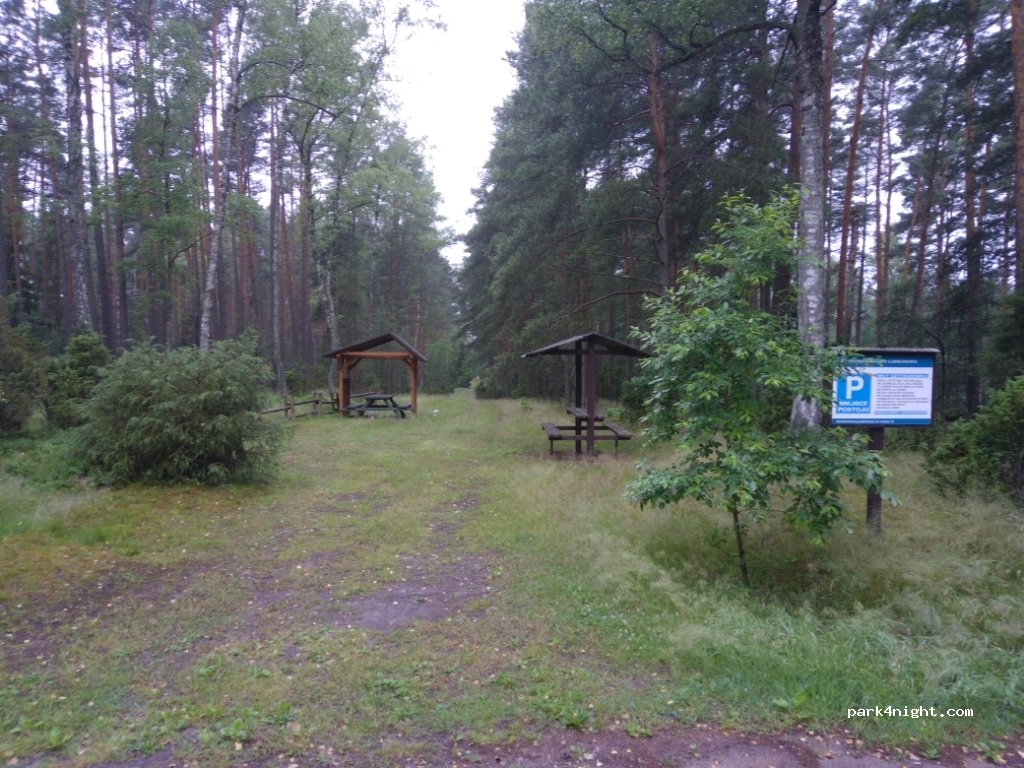 (83-243) Długie - — foto