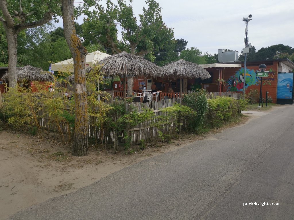 Camping Classe Village — foto 2