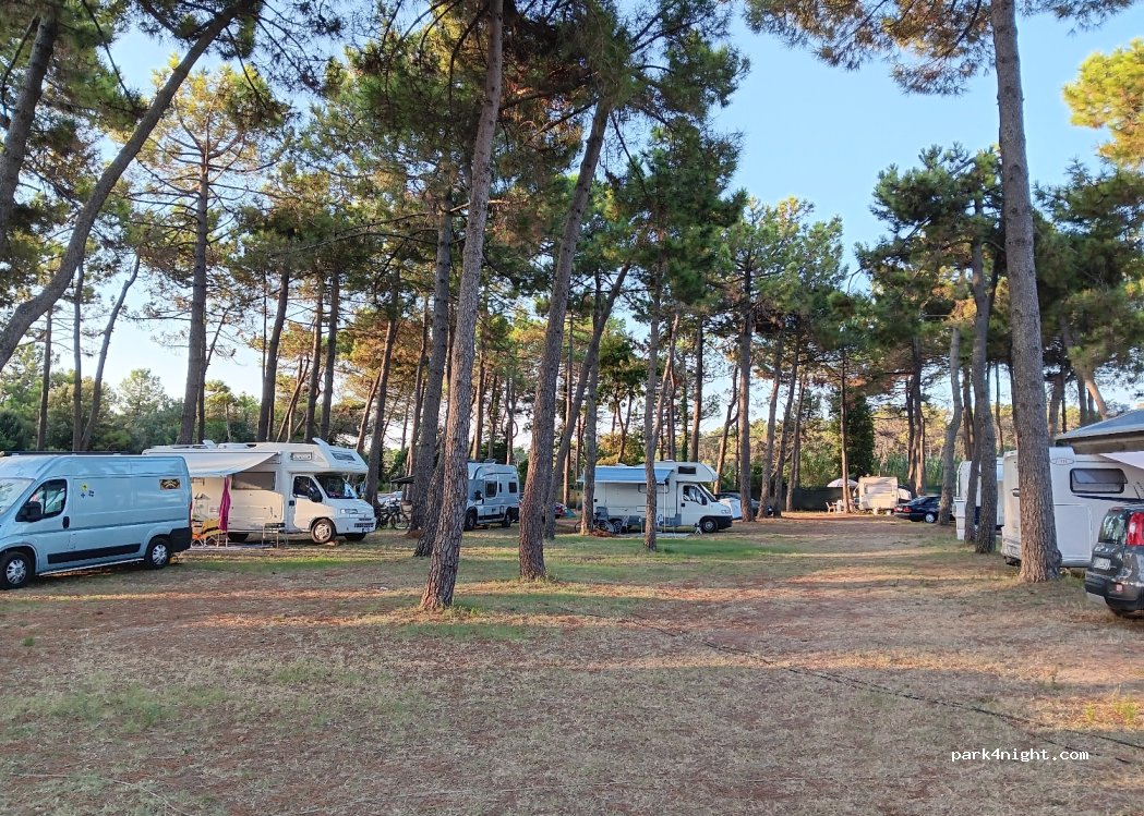 Camping Classe Village — foto 4