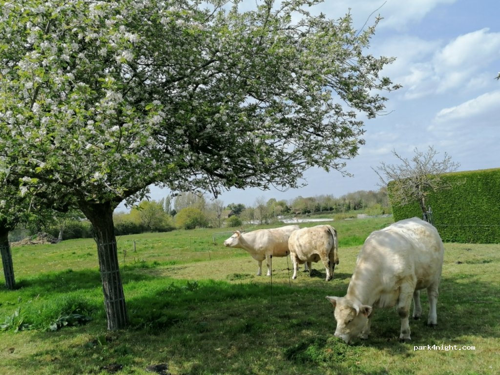 Les Cigognes — foto 3