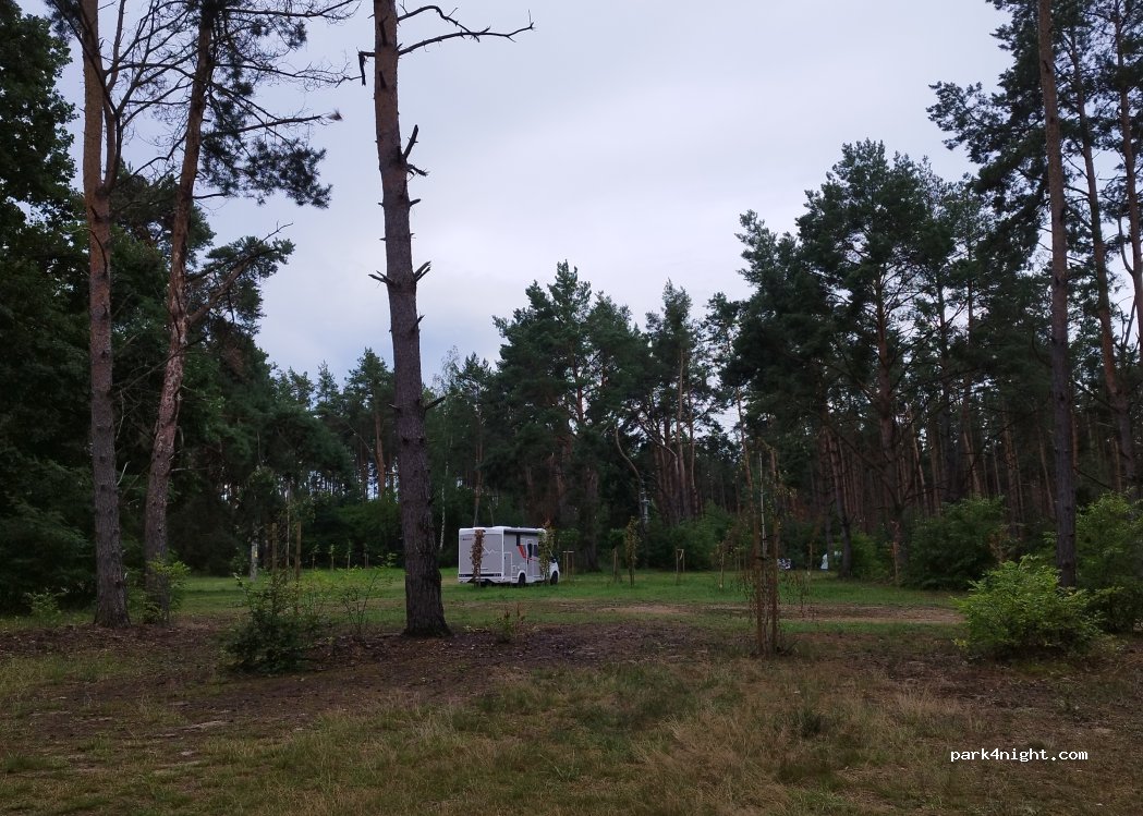 (66-211) Niesulice - 1 Topolowa — foto 4