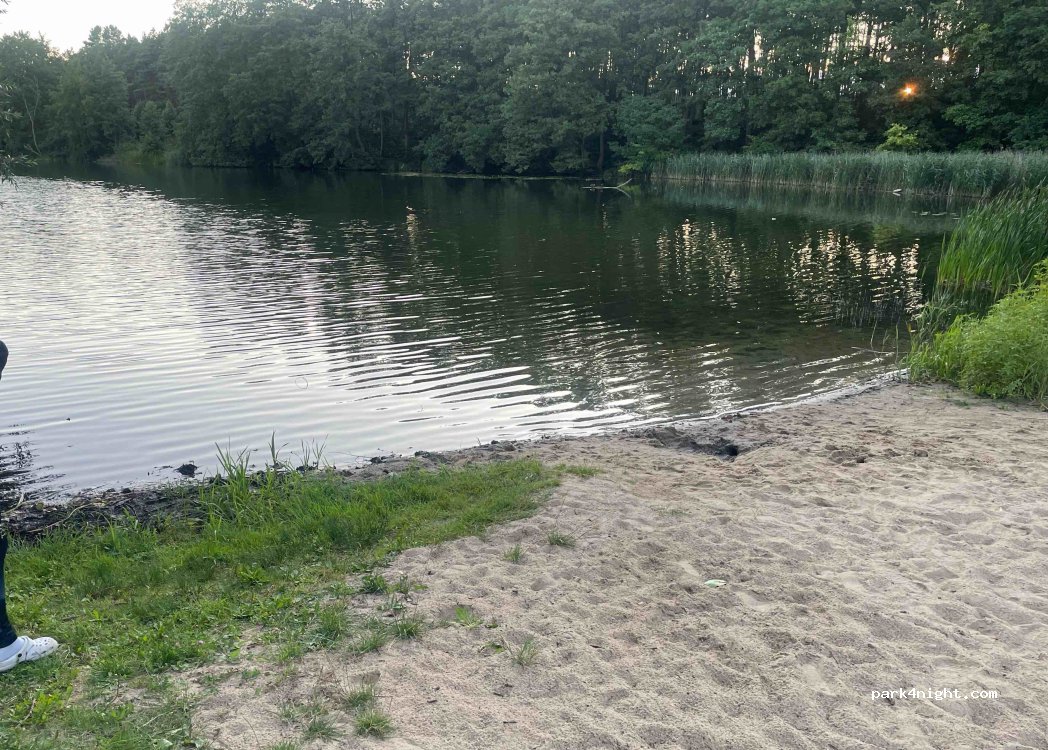 (66-305) Wysoka - — foto 4