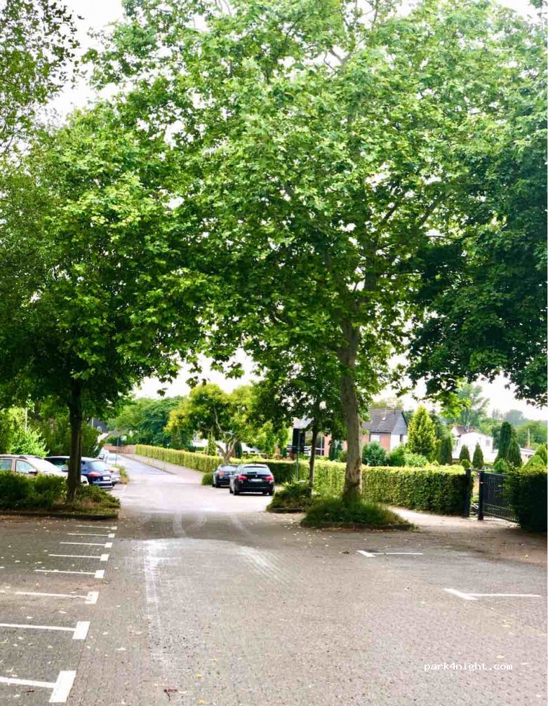 (51469) Bergisch Gladbach - 11 Steinenkamp — foto 2