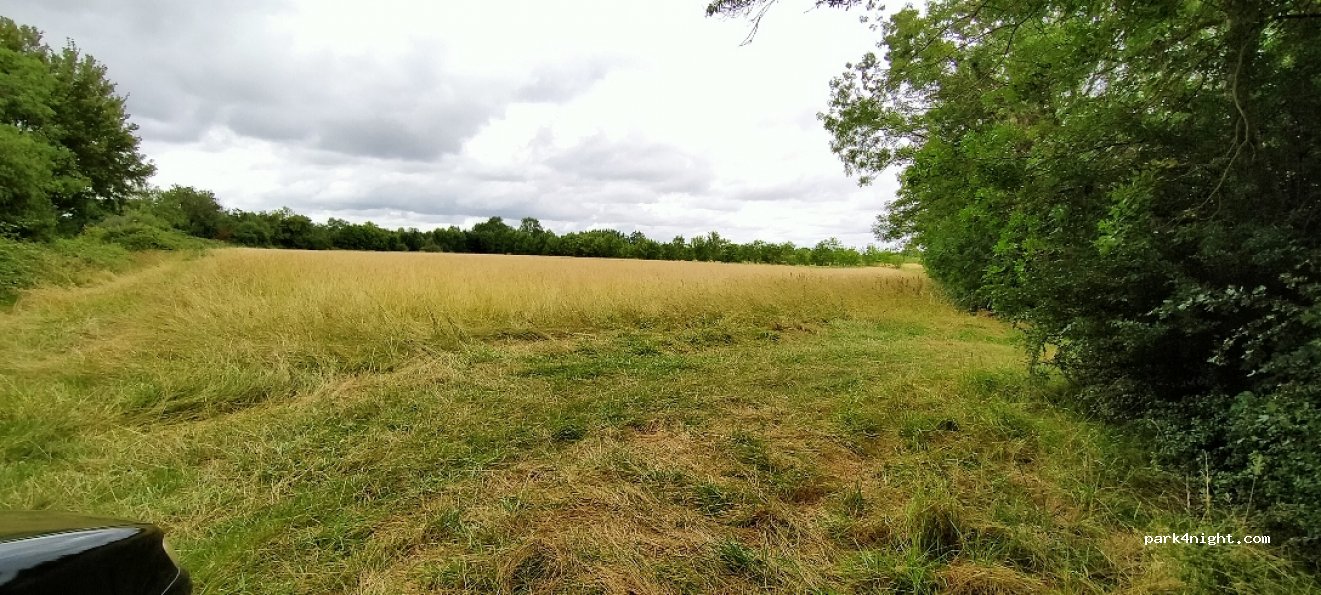 (17350) Le Mung - D119 — foto 2