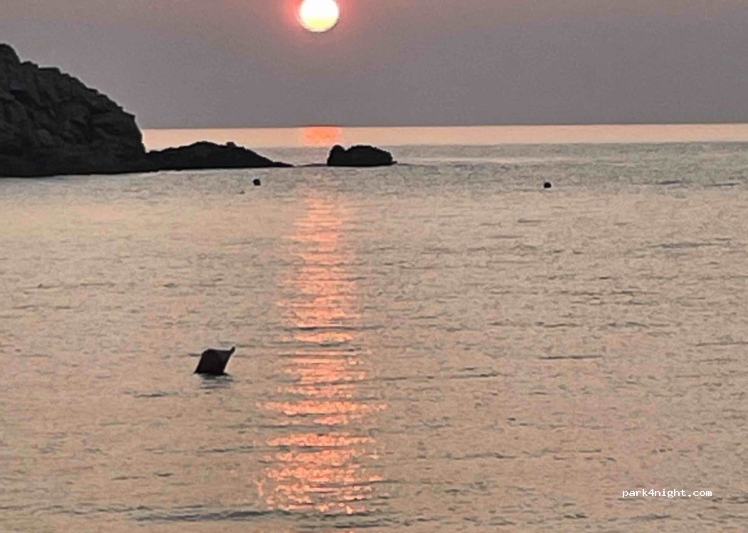Camping Sole e Mare — foto 4
