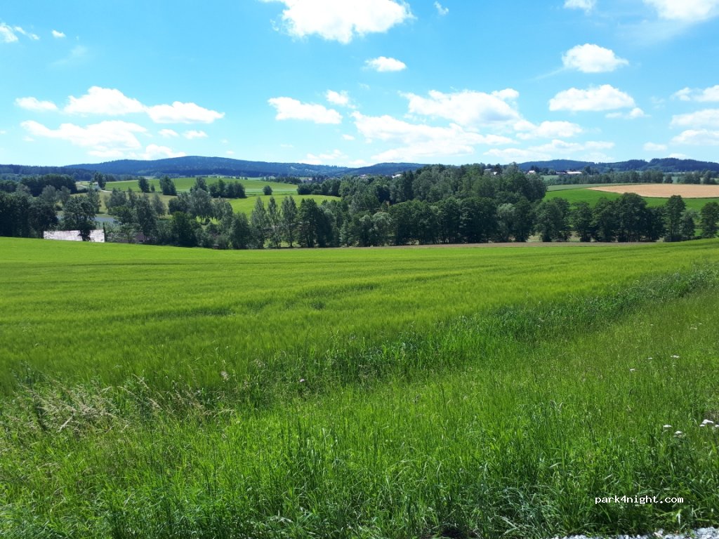 (95671) Bärnau - St2173 — foto 2