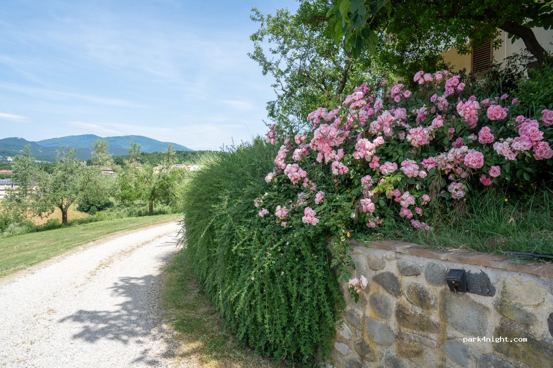 Agricampeggio Val della Pieve — foto 5