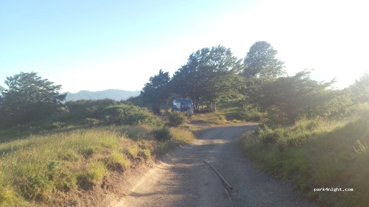 (54023) Filattiera - Unnamed Road — foto