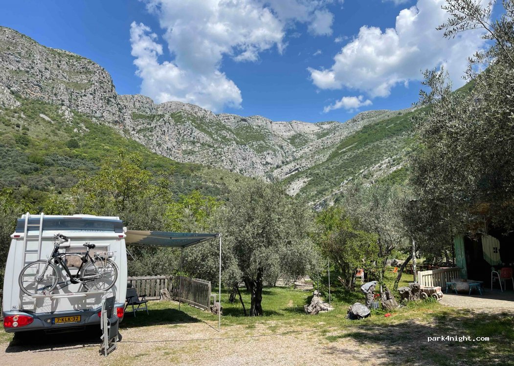 Bartula - My Olive Garden Camp — foto