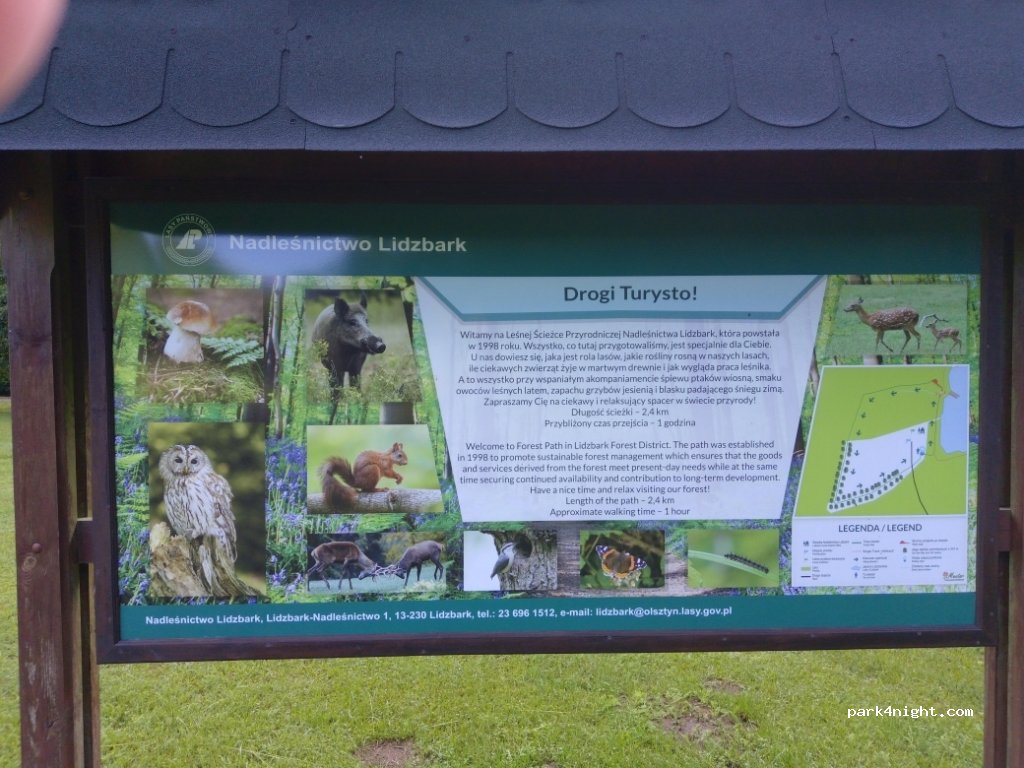 (13-230) Lidzbark-Nadleśnictwo - — foto 3