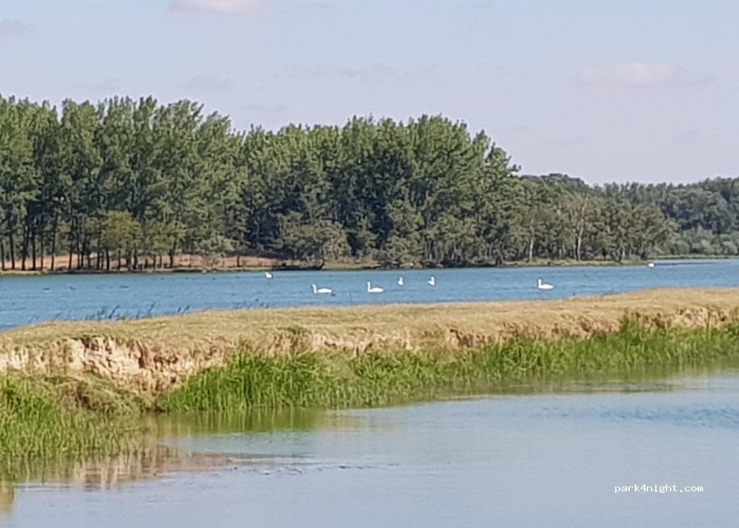 (207360) Maglavit - Unnamed Road — foto 4
