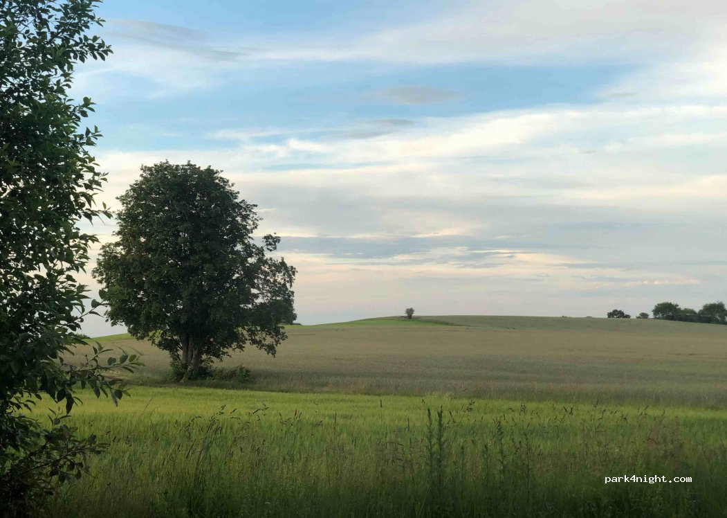 (01744) Schmiedeberg - Hochwaldstraße — foto