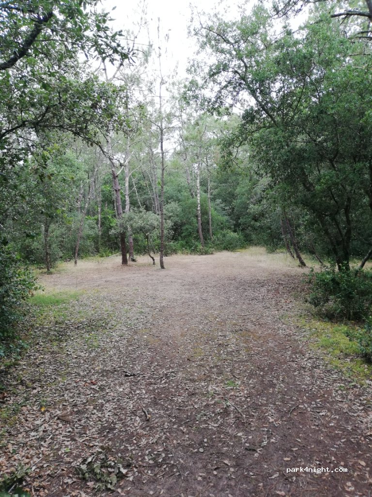 (85560) Longeville-sur-Mer - Chemin des Pairs — foto 2