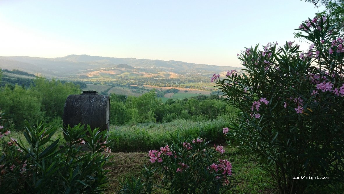 agricampeggio toscana podere la corsa — foto