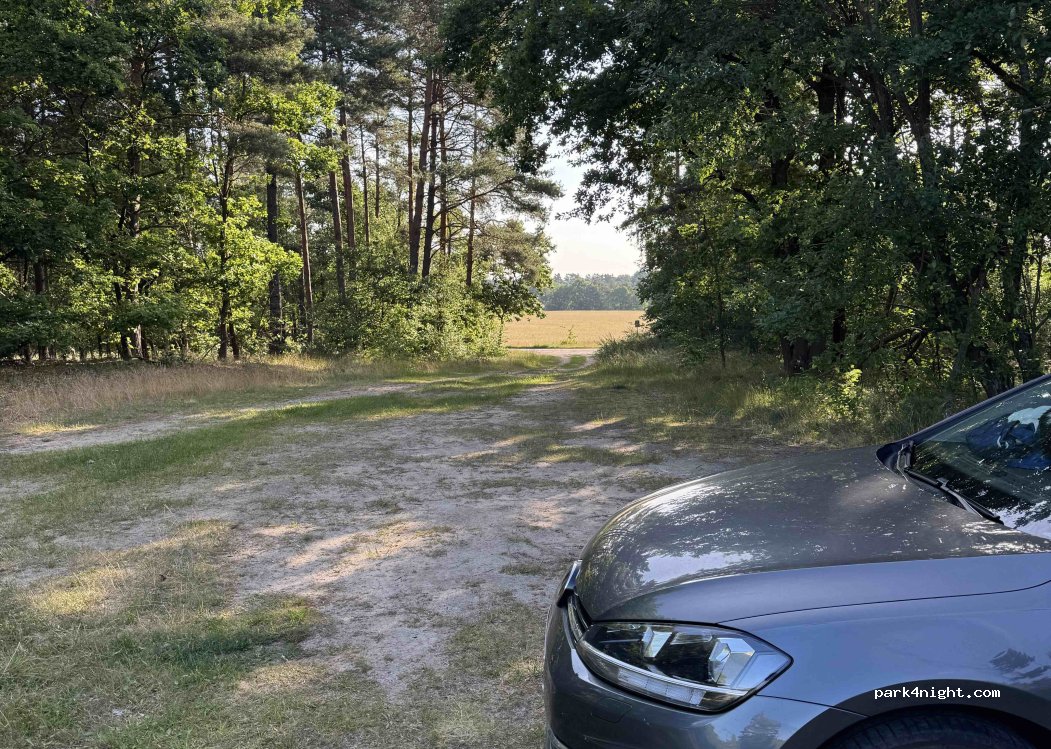 Wanderparkplatz Bodenteicher Heide — foto 5