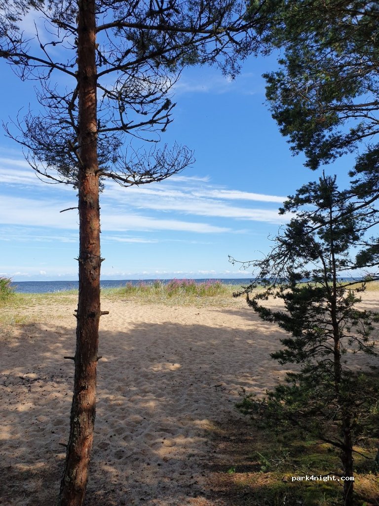 (76705) Meremõisa - — foto