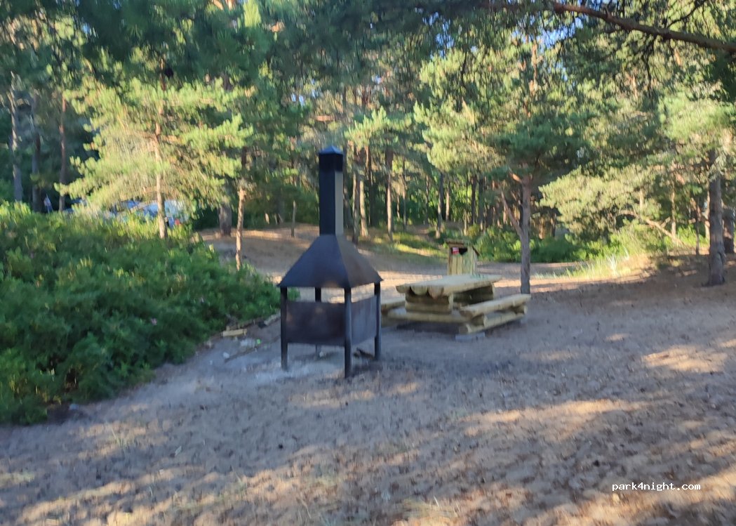 (76705) Meremõisa - — foto 3
