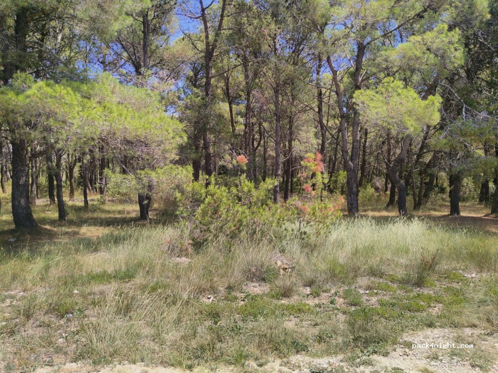 (23235) Vrsi - Ulica dr.Ante Starčevića — foto 2