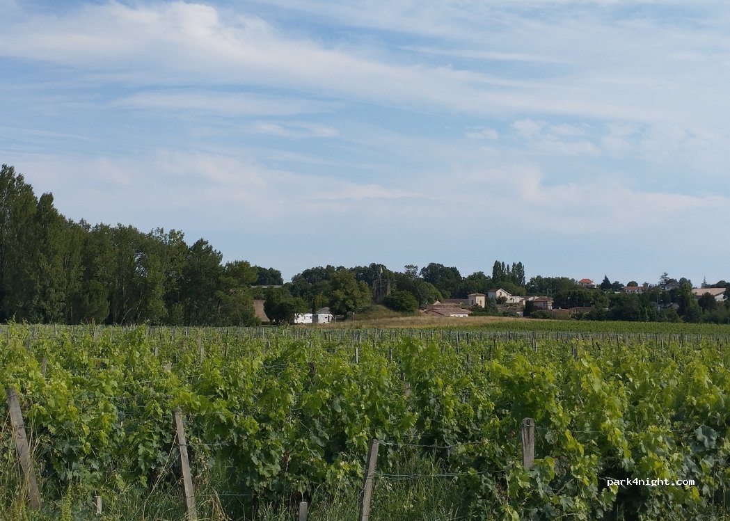 (33390) Saint-Martin-Lacaussade - 33 Voie Romaine — foto 4