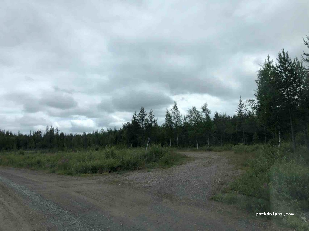 (790 90) Särna - Transtrandsvägen — foto