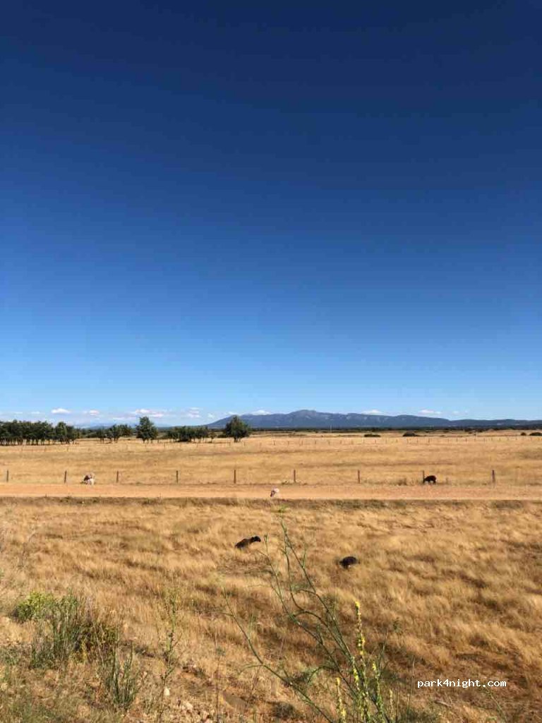 (37470) Sancti-Spíritus - Camino de Pedraza — foto 3