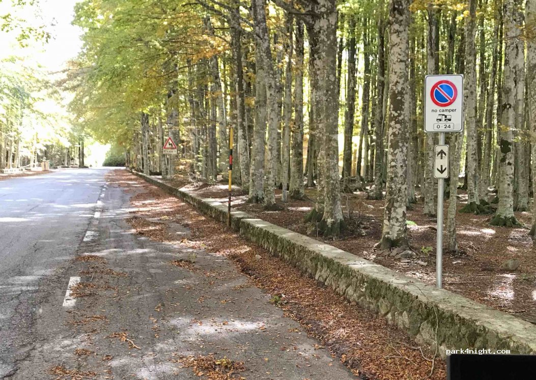 (58033) Castel del piano - 61 Via della Contessa — foto 2