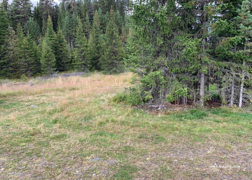 (2910)  - Primær Fylkesveg 51 — foto 2