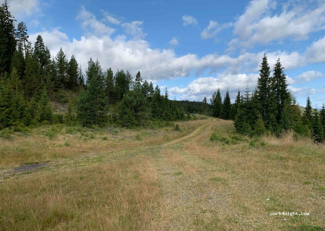 (2910)  - Primær Fylkesveg 51 — foto 3
