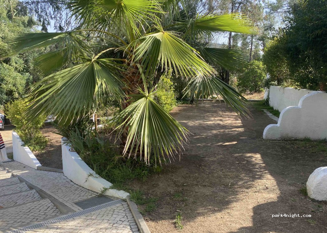 Camping Pelinos — foto 5