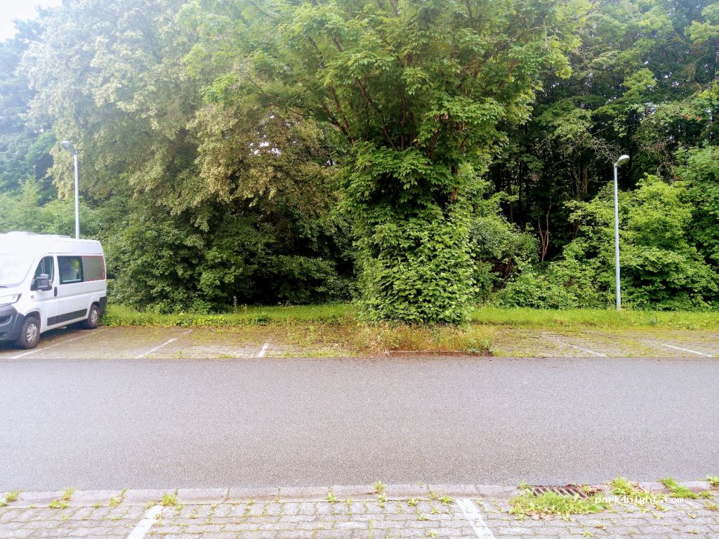 (95447) Bayreuth - 2A Wichernstraße — foto 3