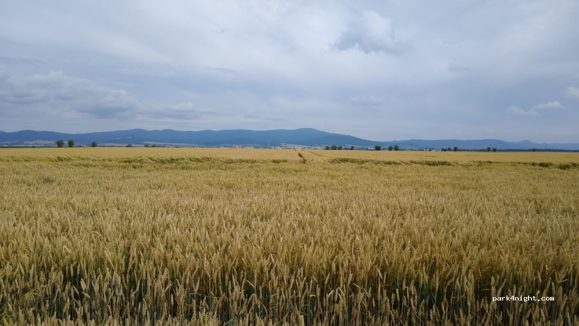 (955 01) Topoľčany - 1717 — foto 2