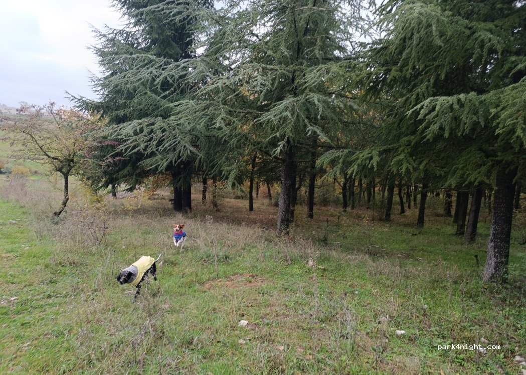 Agriturismo Monte dell'Armenia — foto 2