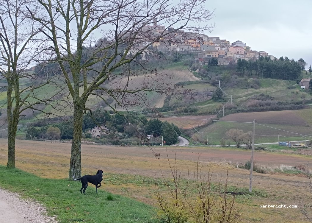 Agriturismo Monte dell'Armenia — foto 3