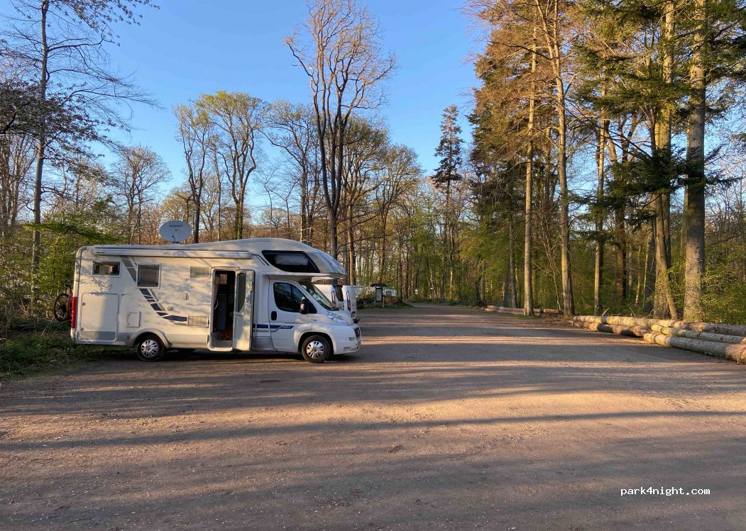 Lichte Eichen — foto 2
