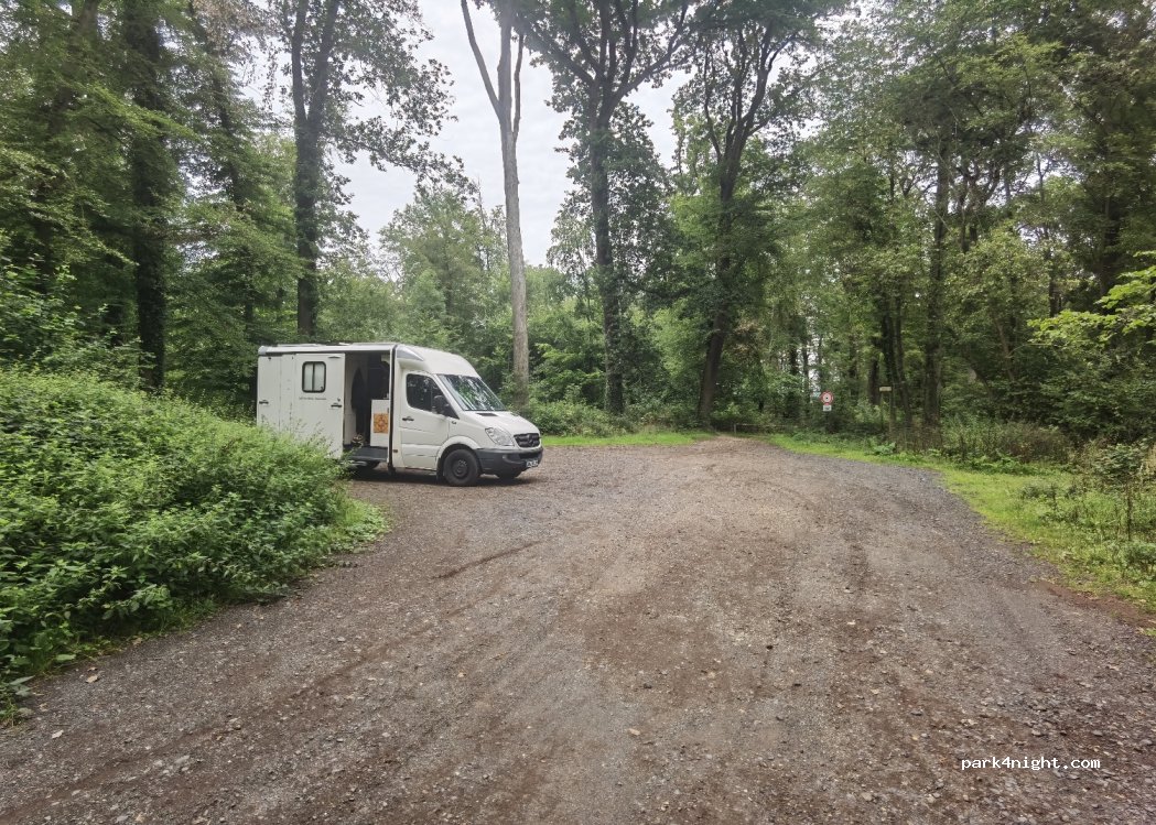 Lichte Eichen — foto 4