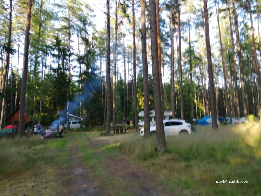 Cicho-sza Pole biwakowe Powałczyn — foto 2
