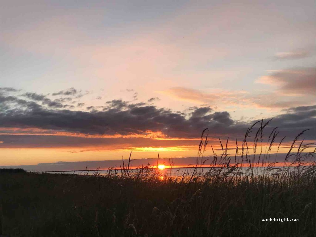 (624 67) Fårö - 1489 FÅRÖ AUSTERS — foto 3