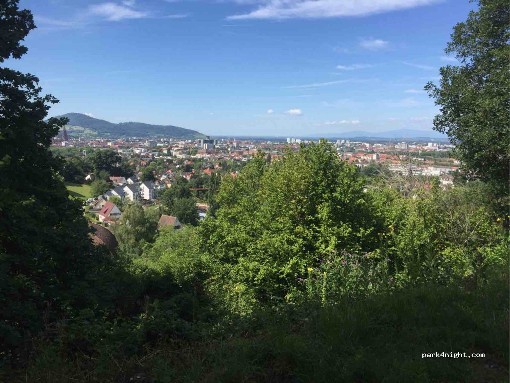 (79104) Freiburg im Breisgau - 40 Eichhalde — foto 4