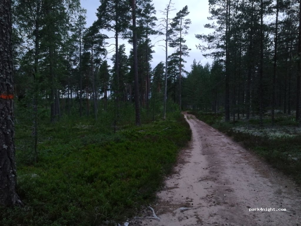 (682 91) Filipstad - Unnamed Road — foto
