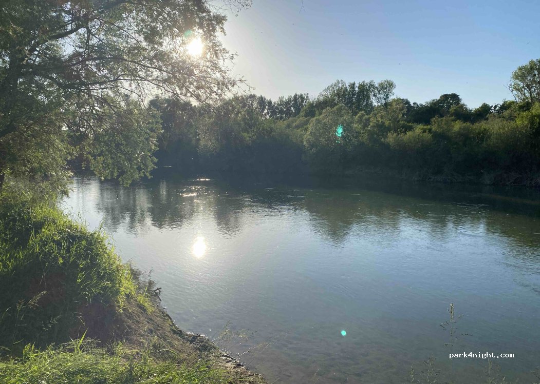 (51150) Condé-sur-Marne - Le Champ Rapinat — foto